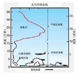 1653036939596253.png image.png