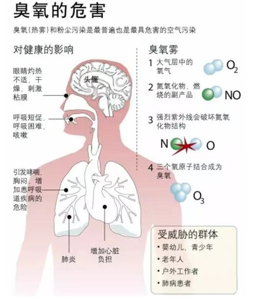 1653036958133848.png image.png